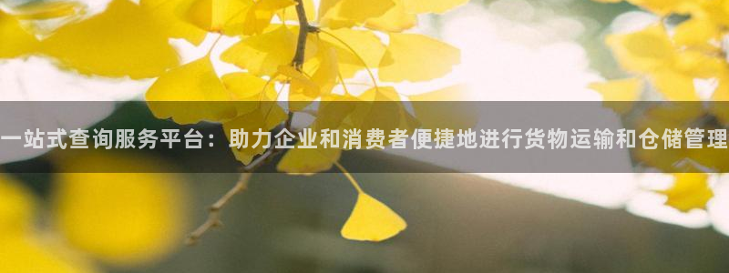 旺财28口内径是多大：一站式查询服务平台：助力企业和消费者便