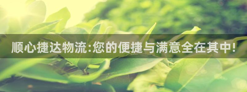 旺财28吧：顺心捷达物流:您的便捷与
