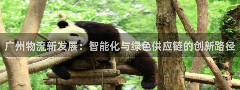 旺财28提现未达5期是什么意思：广州