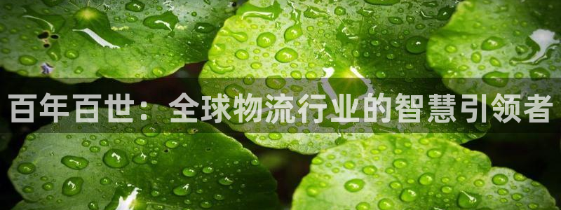 旺财28官网入口pc29官网版：百年