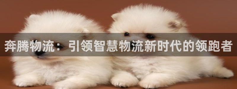 旺财28官网下载链接:奔腾物流:引领