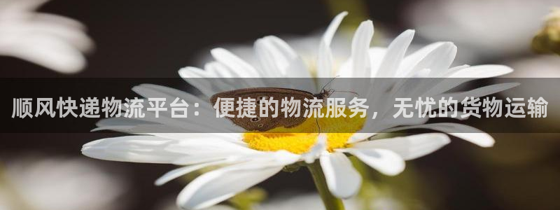 旺财28游戏链接：顺风快递物流平台：便捷的物流服务，无忧的货
