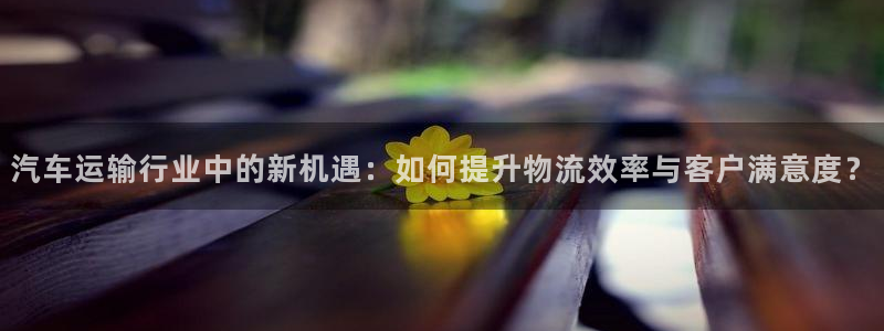 旺财28游戏官网入口：汽车运输行业中