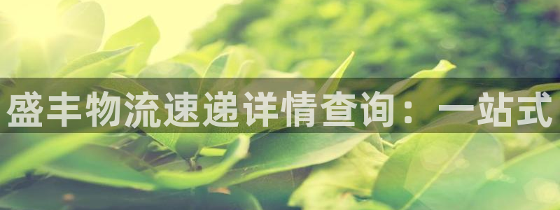 旺财28比特28预测在线预测：盛丰物