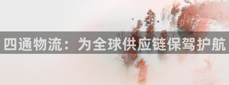 旺财28客服一直不回消息怎么办：四通物流：为全球供应链保驾护