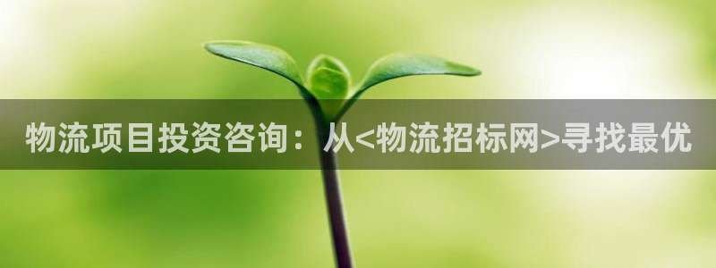 南宫旺财28怎么注册：物流项目投资咨