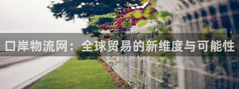 旺财28p扣除：口岸物流网：全球贸易