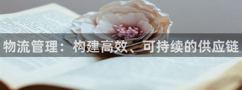 旺财28链接：物流管理：构建高效、可持续的供应链