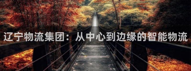 旺财28分分28预测：辽宁物流集团：