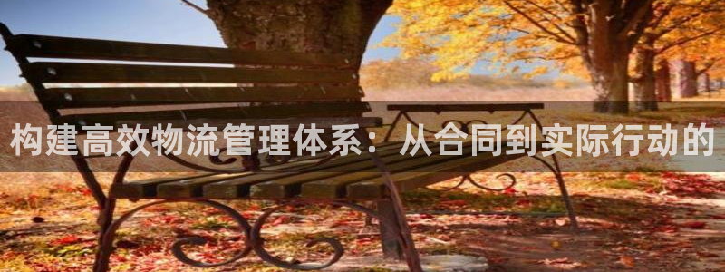 旺财28黑吗:构建高效物流管理体系: