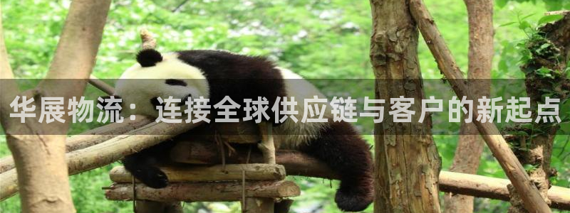 旺财28怎么下载：华展物流：连接全球
