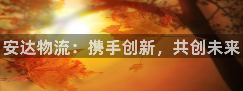 旺财28新用户怎么注册:安达物流:携