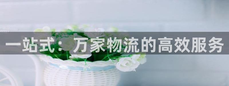 旺财28游戏：一站式：万家物流的高效服务