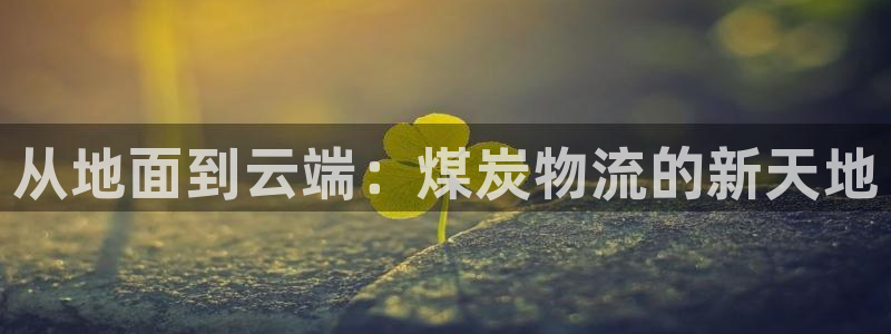 旺财28登录：从地面到云端：煤炭物流