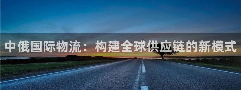 旺财28官网链接:中俄国际物流:构建