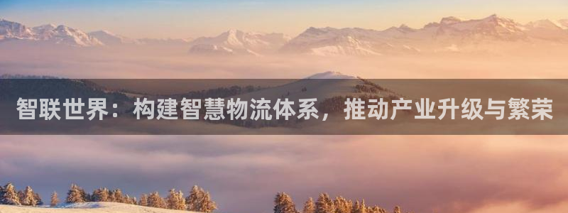 旺财28龙虎：智联世界：构建智慧物流