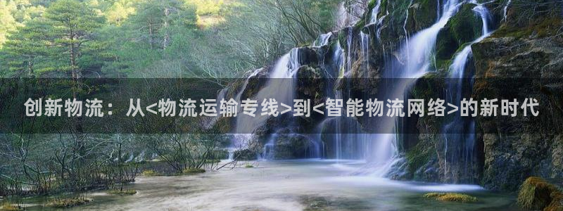 旺财28官方：创新物流：从<物流运输专线>到<智能物流网络>
