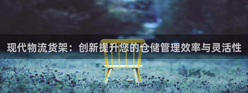 旺财28新用户怎么注册:现代物流货架