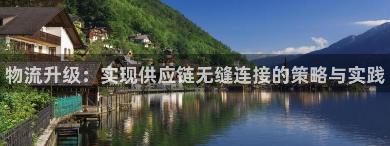 旺财28注册用户名是什么：物流升级：实现供应链无缝连接的策略