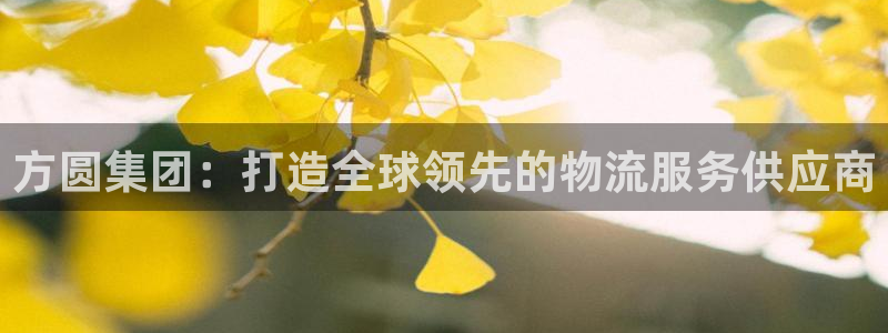 旺财28能提现吗：方圆集团：打造全球领先的物流服务供应商