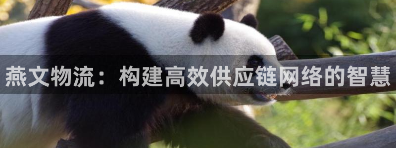 旺财28游戏：燕文物流：构建高效供应