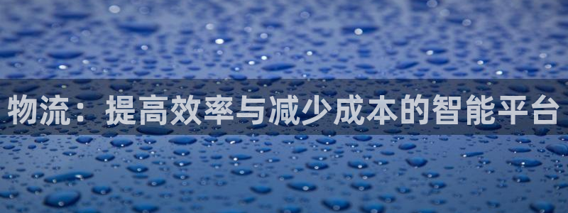 旺财28加拿大是什么意思：物流：提高