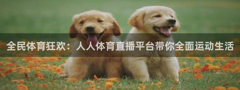 鲸鱼nba直播在线观看：全民体育狂欢：人人体育直播平台带你全面运动生活