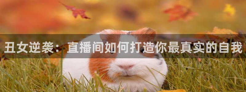 蓝鲸鱼直播：丑女逆袭：直播间如何打造你最真实的自我