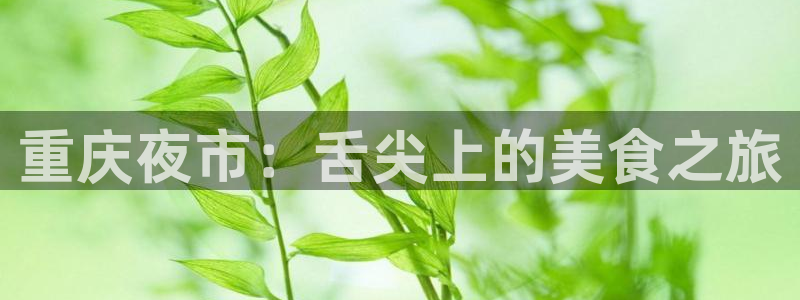 足球鲸鱼直播：重庆夜市：舌尖上的美食之旅