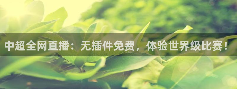 鲸鱼体育网址是什么：中超全网直播：无插件免费，体验世界级比赛！