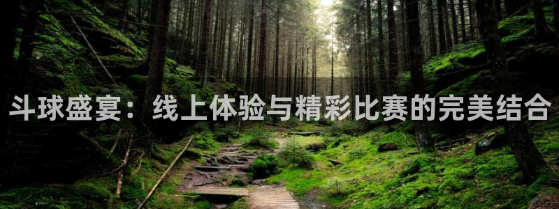 鲸鱼体育在线直播：斗球盛宴：线上体验与精彩比赛的完美结合