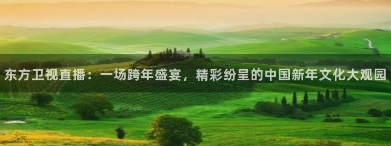 鲸鱼体育：东方卫视直播：一场跨年盛宴，精彩纷呈的中国新年文化大观园