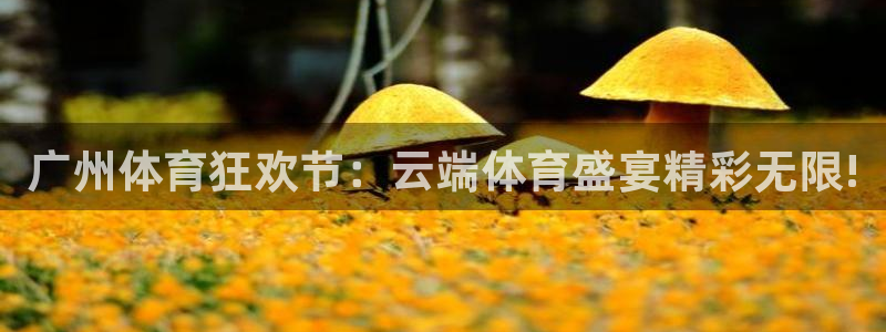 鲸鱼体育在线直播高清：广州体育狂欢节：云端体育盛宴精彩无限!