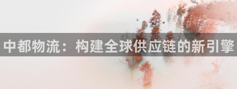 旺财28软件是什么