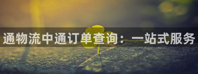 旺财28注册教程：通物流中通订单查询：一站式服务