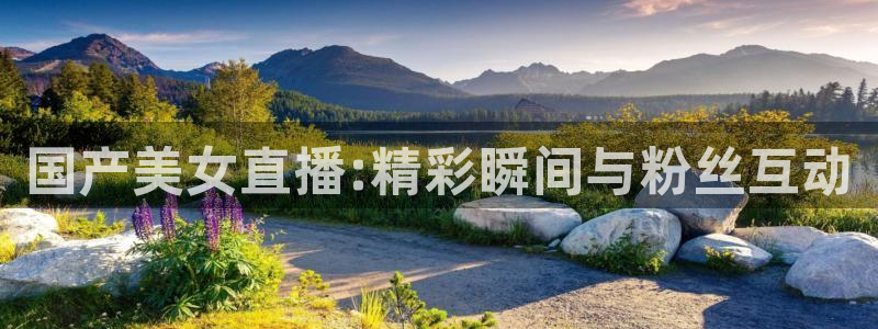 鲸鱼nba直播在线观看：国产美女直播:精彩瞬间与粉丝互动