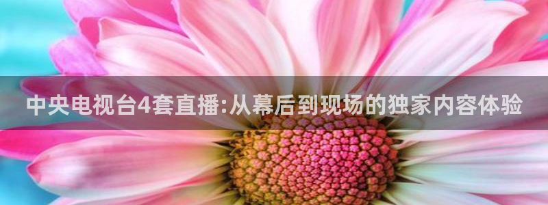 鲸鱼体育tv送红红单v3.红单足球.top：中央电视台4套直播:从幕后到现场的独家内容体验