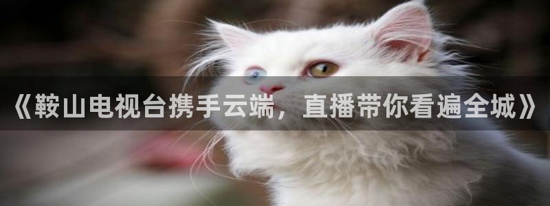鲸鱼体育直播app免费下载：《鞍山电视台携手云端，直播带你看遍全城》